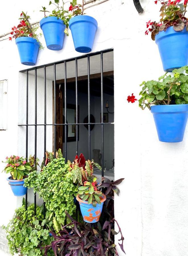 Casa Rural Manantial De Las Jaras Istán Exterior foto